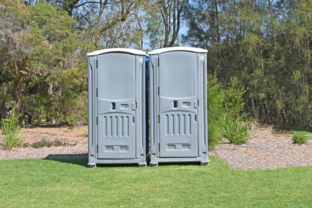 Best Portable Toilets with Baby Changing Stations  in Pho, IL